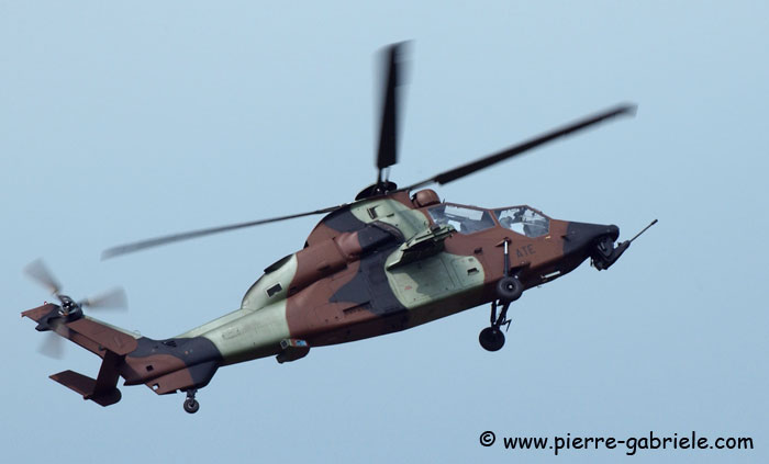 tigre_8149.jpg