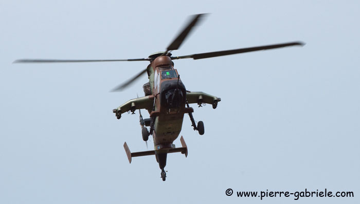 tigre_8161.jpg