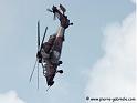 tigre_8140