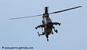 tigre_8162