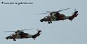 tigres_8283