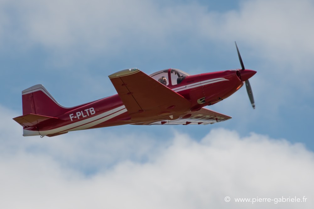 falco-d500__2559.jpg