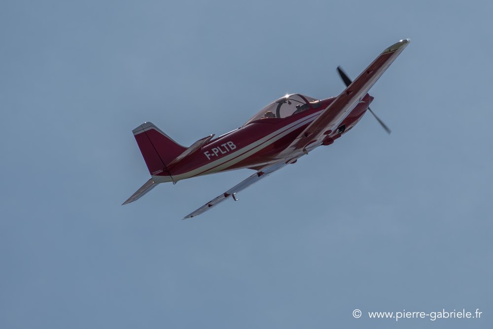 falco-d500__2561.jpg