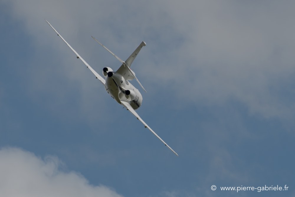 falcon50-d500__2574.jpg