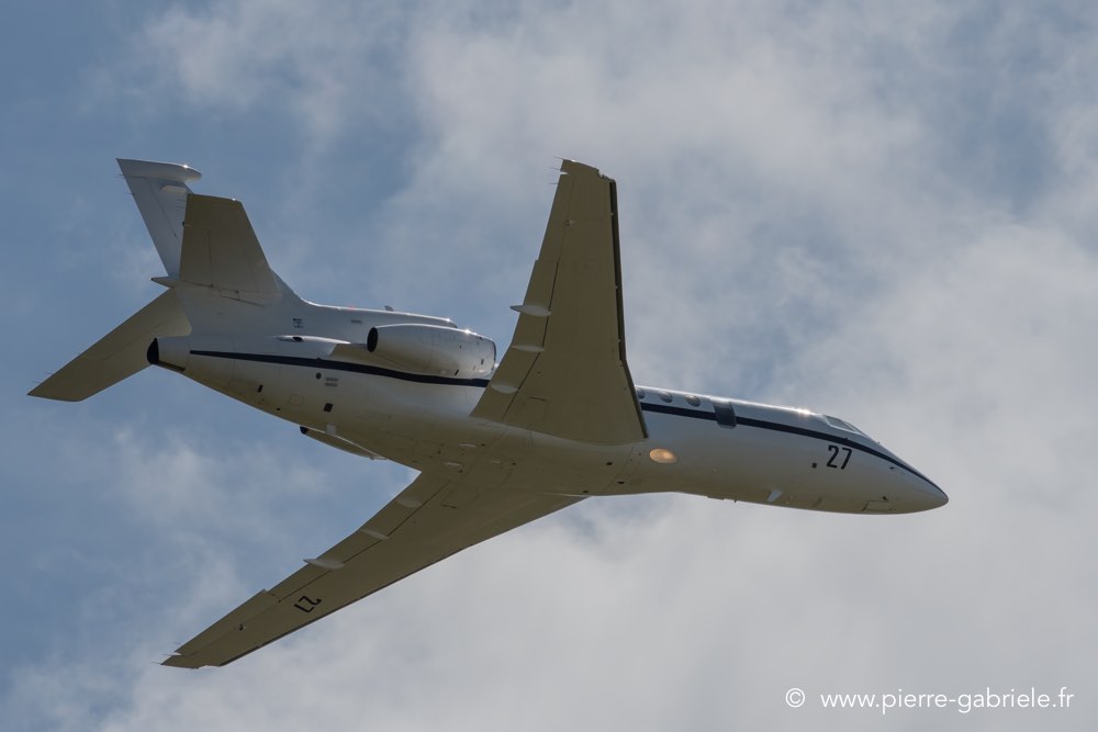 falcon50-d500__2578.jpg