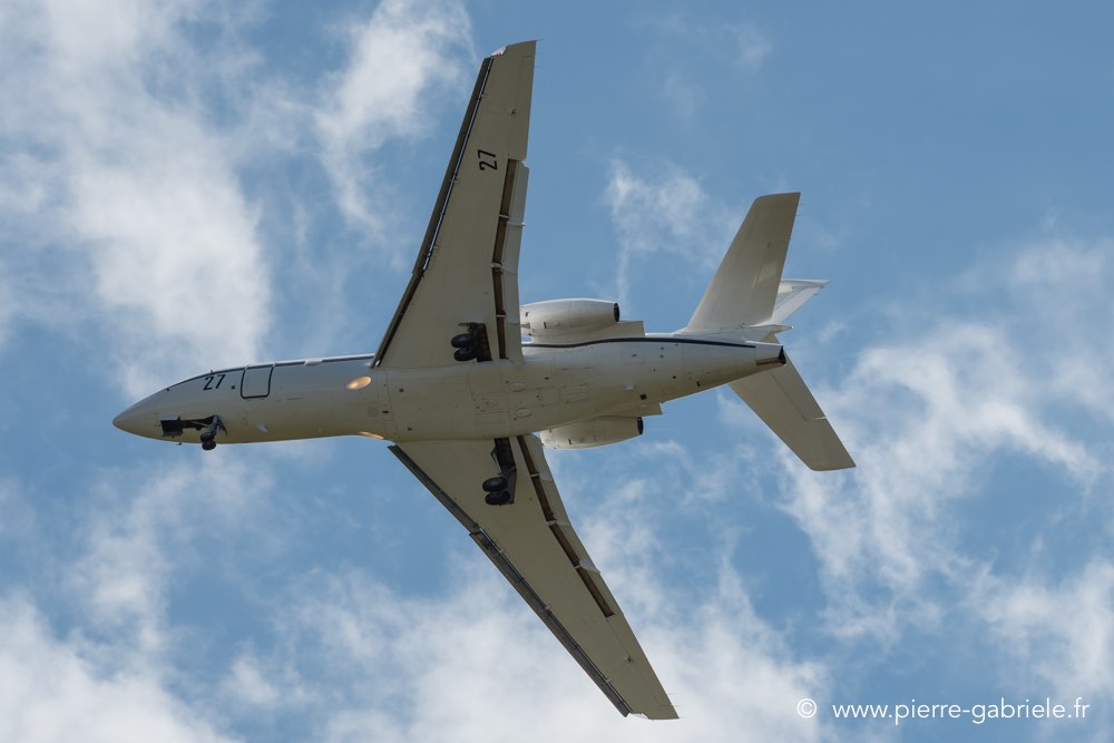 falcon50-d500__2587.jpg