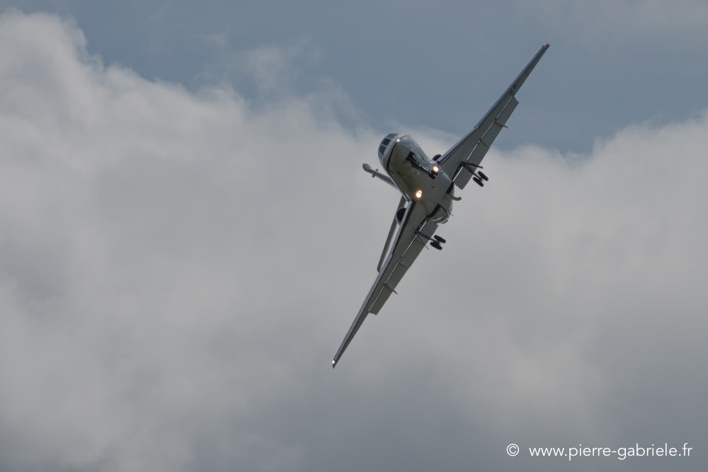 falcon50-d500__2592.jpg