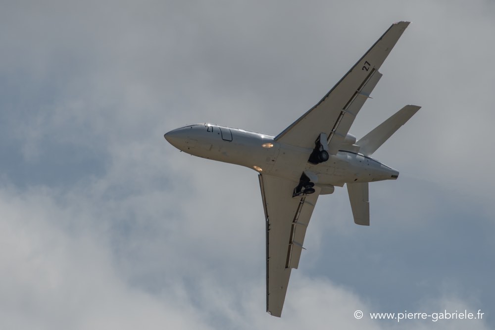 falcon50-d500__2593.jpg
