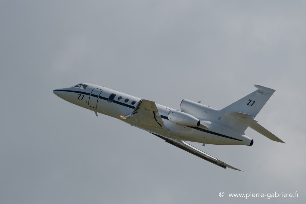 falcon50-d500__2596.jpg