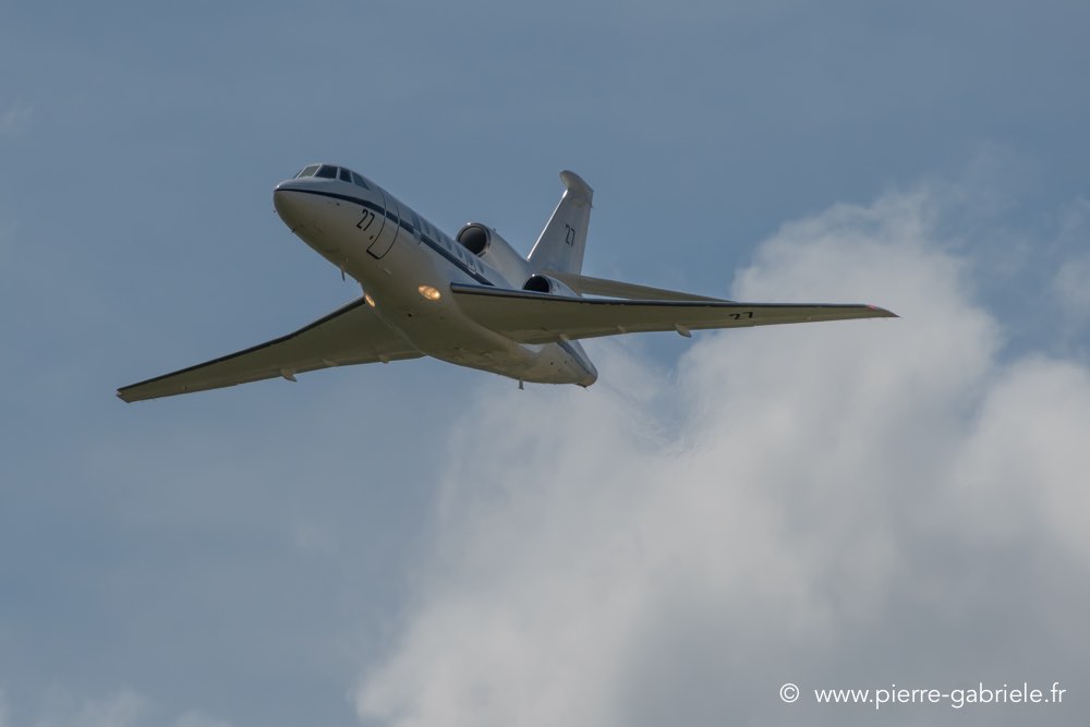 falcon50-d500__2599.jpg