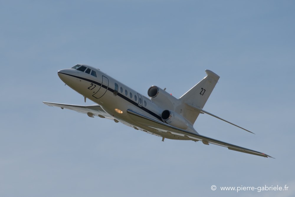 falcon50-d500__2601.jpg