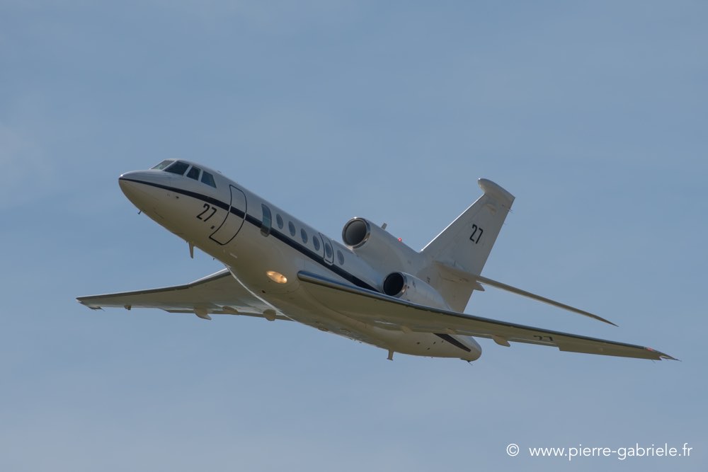 falcon50-d500__2602.jpg