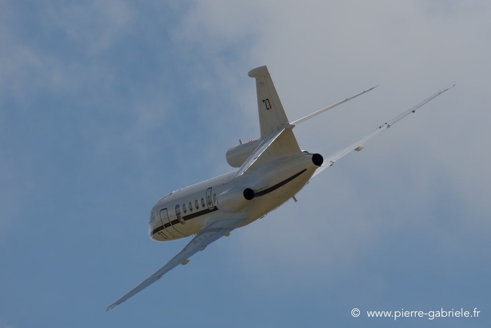 falcon50-d500__2605.jpg