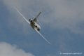 falcon50-d500__2574