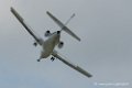 falcon50-d500__2589