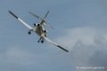 falcon50-d500__2590