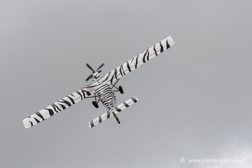 pilatus-d500__2296.jpg