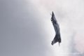 rafale-airexpo2017-d500__2663