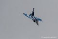 rafale-airexpo2017-d500__2670