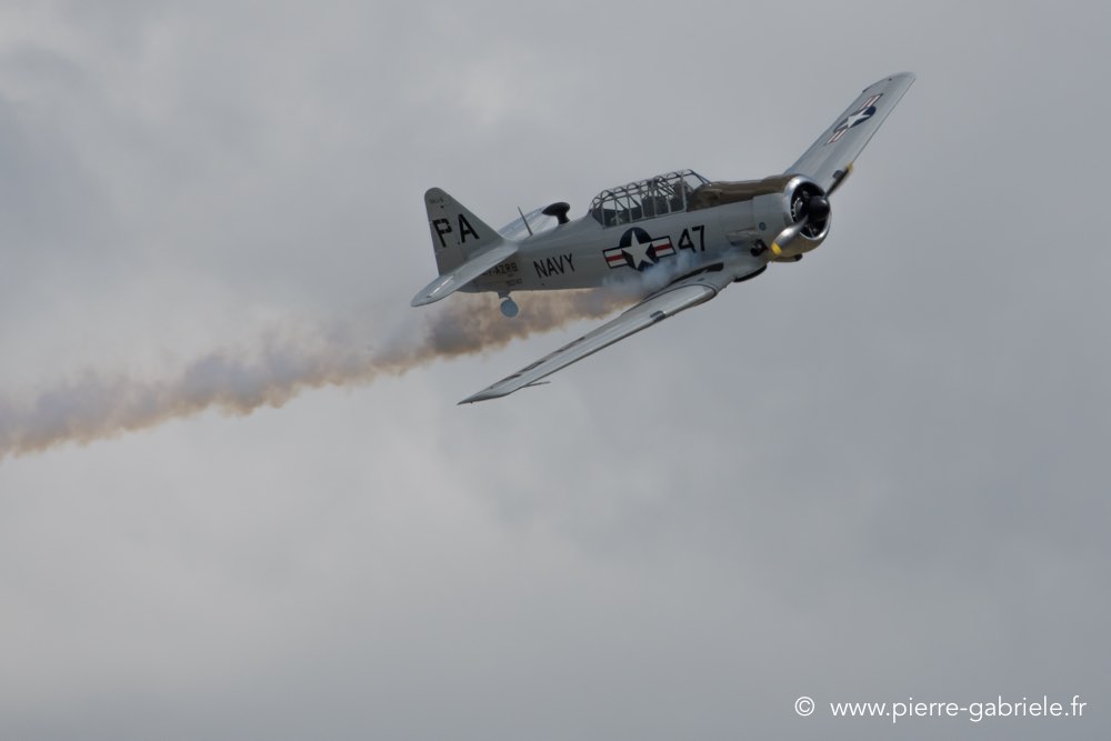 t6-d500__2505.jpg