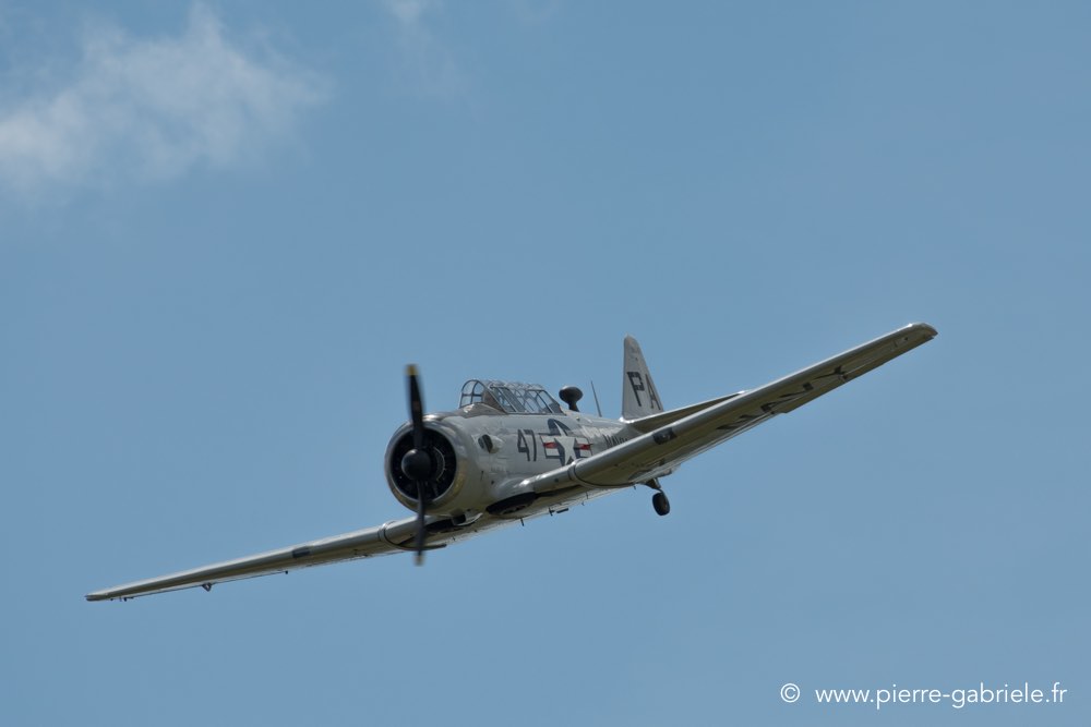 t6-d500__2514.jpg