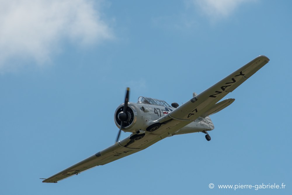 t6-d500__2515.jpg
