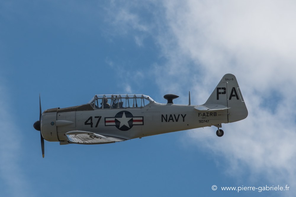 t6-d500__2537.jpg