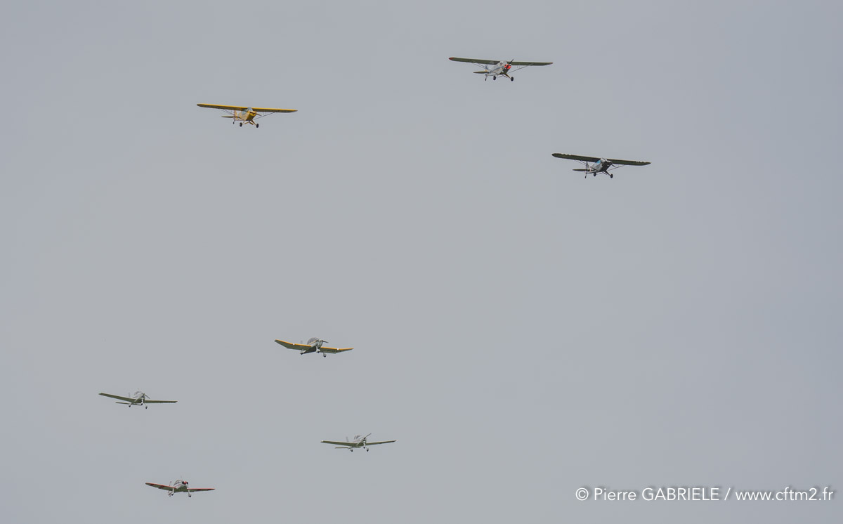 coyotes-crazy-A7V_01124.jpg