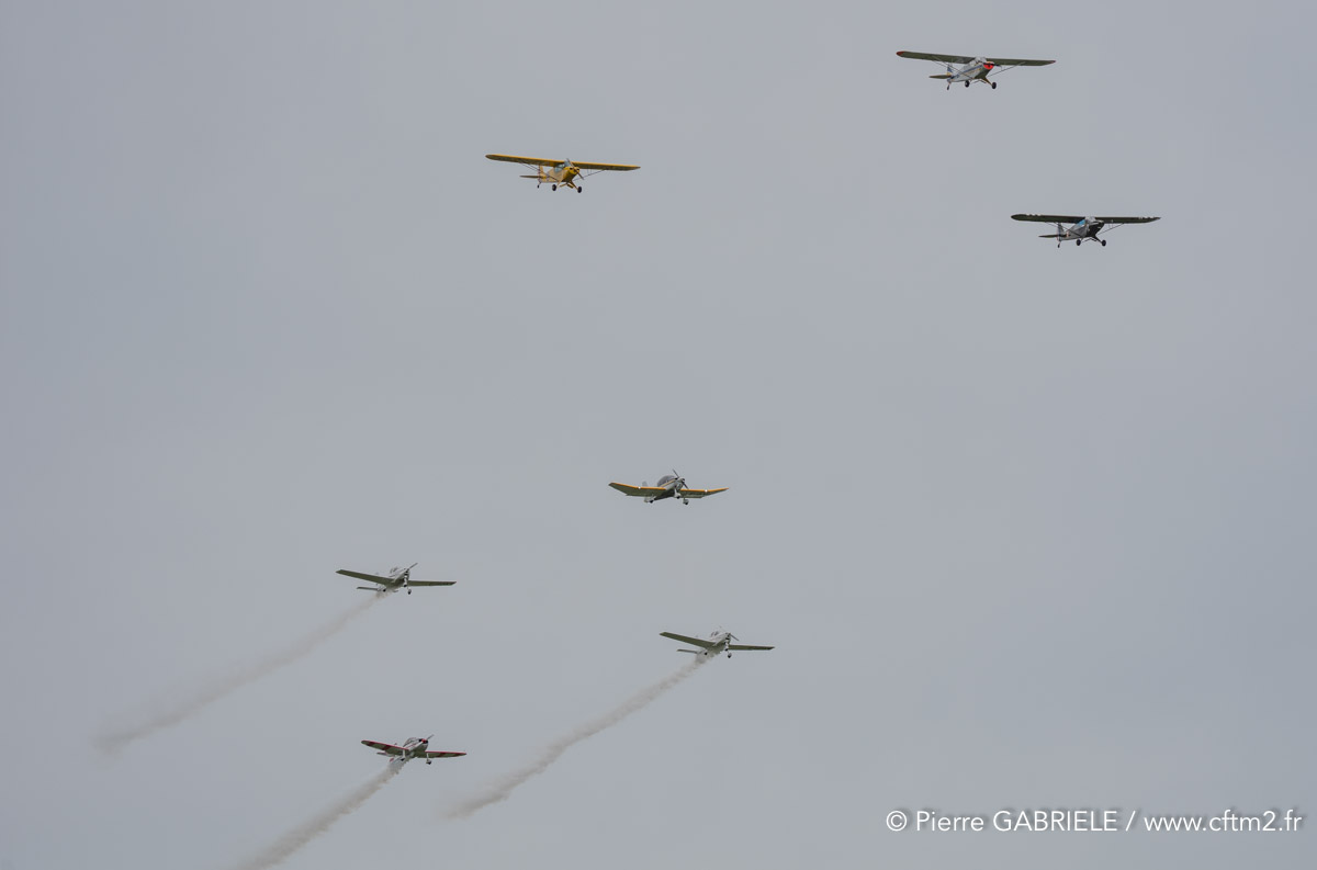 coyotes-crazy-A7V_01125.jpg