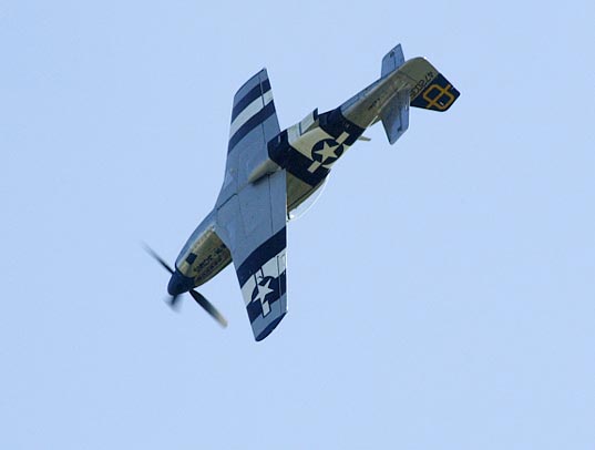 mustangmuret.jpg