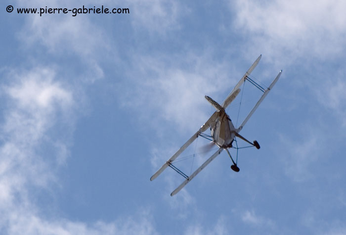 stampe_6748.jpg