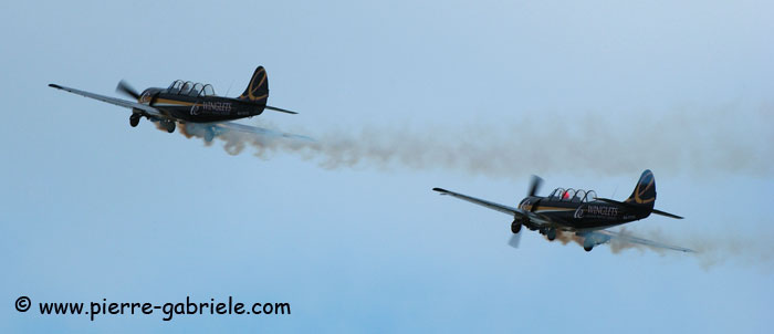 yak52_7035.jpg