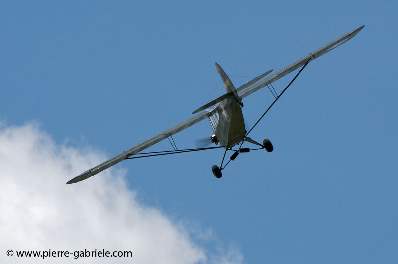 piper_1827.jpg