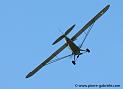 piper_1826