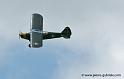 piper_1833