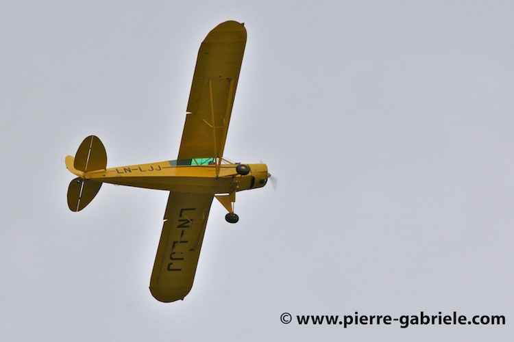 pipercub_3244.jpg