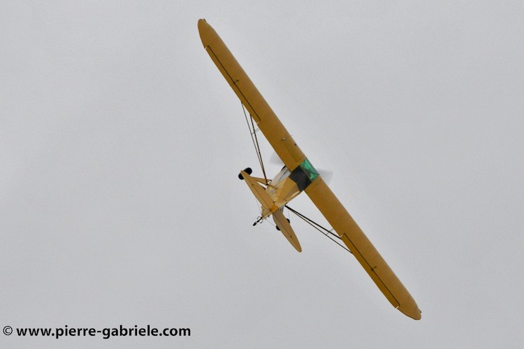pipercub_3263.jpg