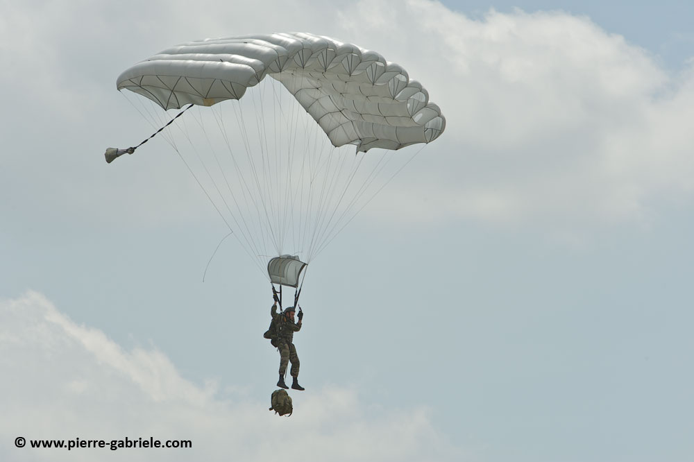 para+3rat_7799.jpg