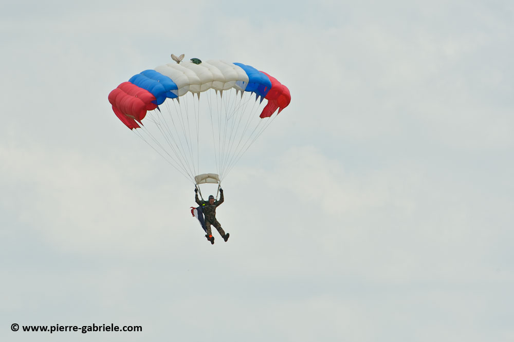 para+3rat_7804.jpg