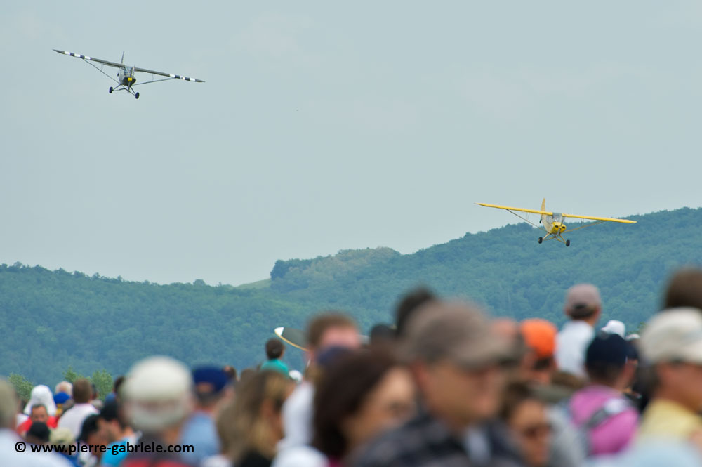 pipercub_8063.jpg