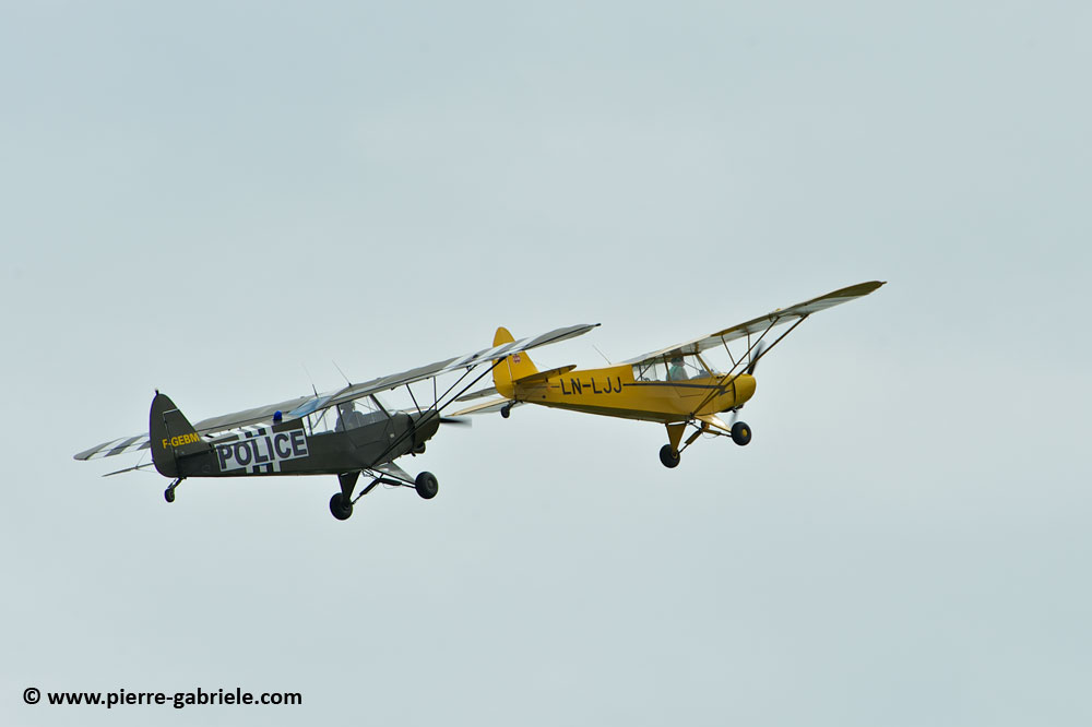 pipercub_8065.jpg