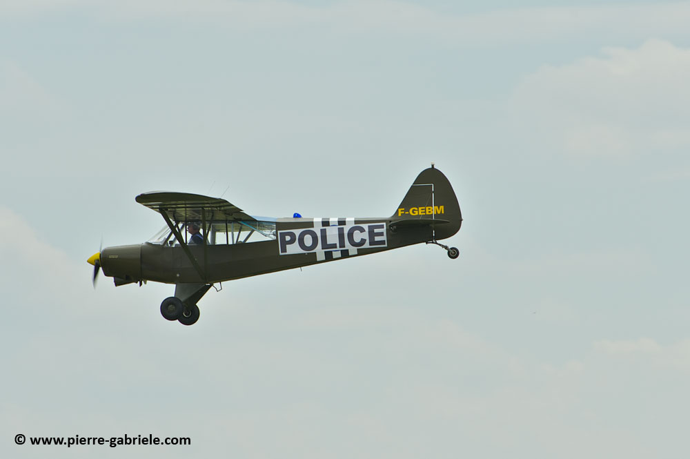 pipercub_8068.jpg