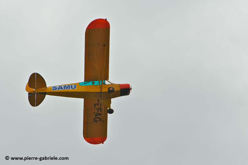pipercub_8070.jpg