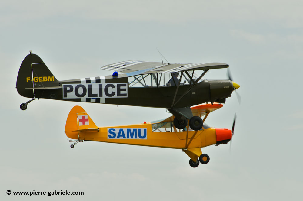 pipercub_8074.jpg