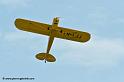 pipercub_8049