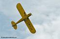 pipercub_8050