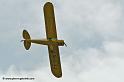 pipercub_8051