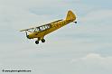 pipercub_8053