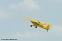 pipercub_8054