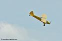 pipercub_8056